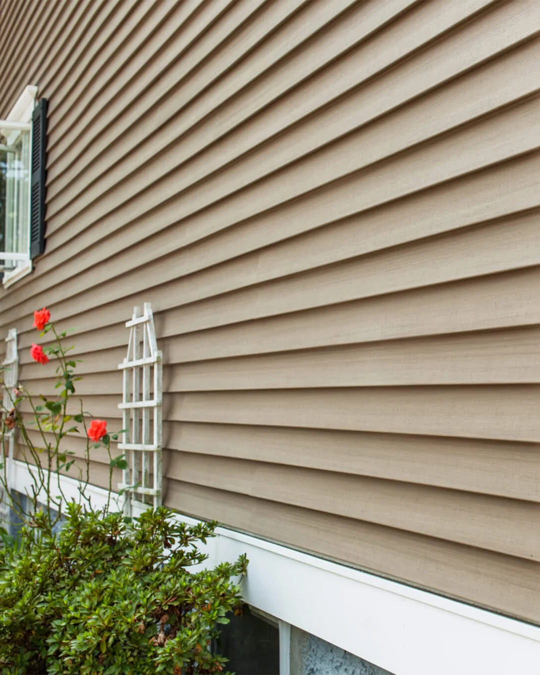 Siding Replacement